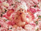 bébé
